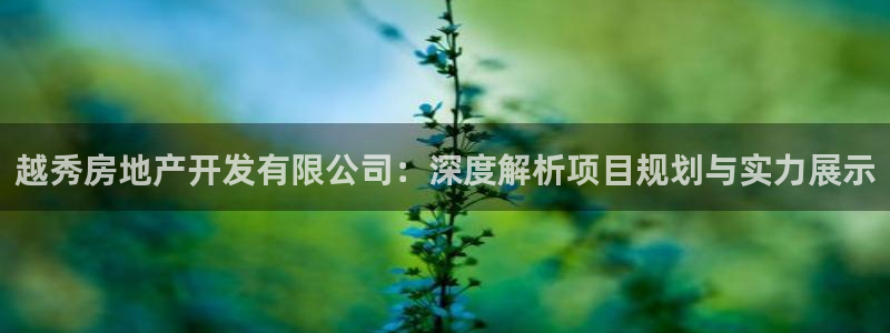 万向娱乐平台代理多少钱一年