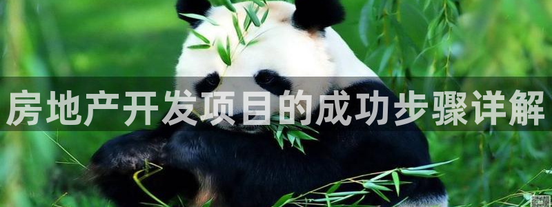 万向娱乐平台代理怎么做