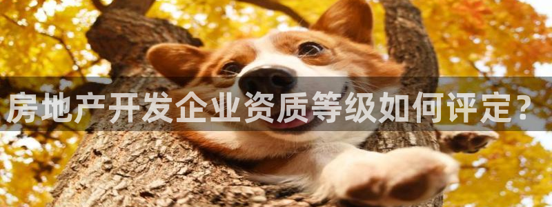 万向娱乐公司官网首页