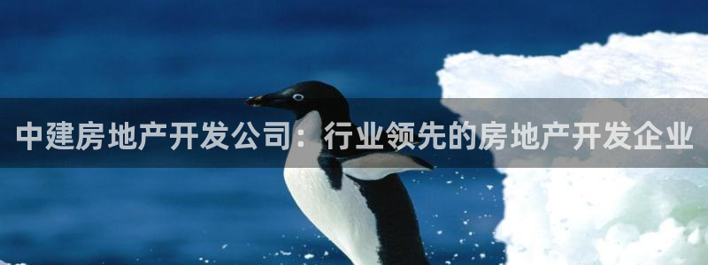 万向娱乐官网下载安装最新版