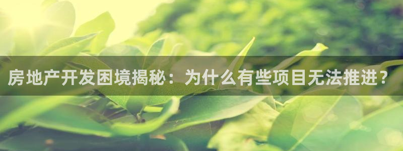 万向娱乐老板