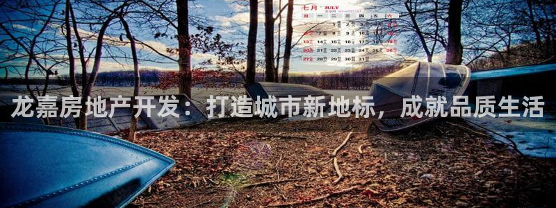 万向娱乐技术