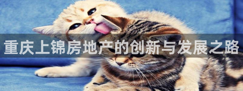 万向娱乐平台代理多少钱一年