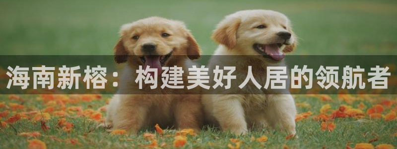 万向娱乐老板