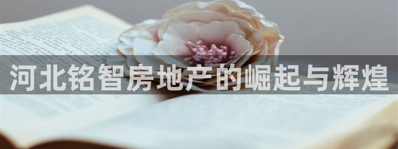 万象国际娱乐网址