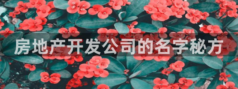 万向娱乐平台下载安装手机版