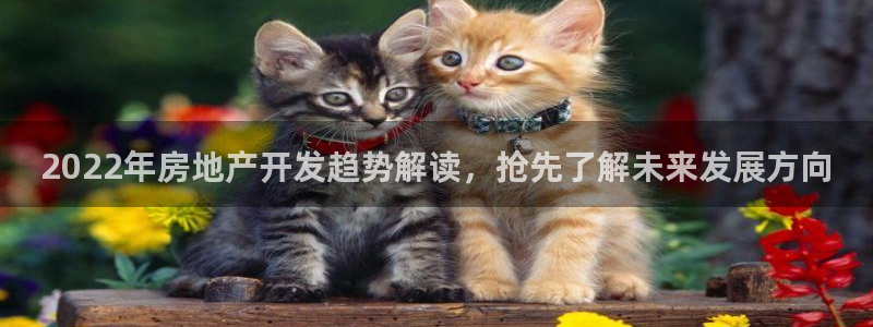 万向娱乐代理好看视频是真的吗