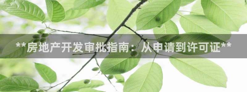 万向娱乐公司 585.34I 娱乐