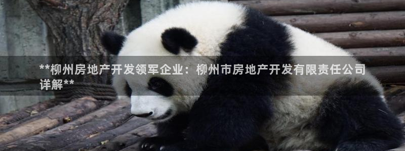 万向娱乐下载