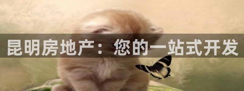万向娱乐平台代理多少钱一个月