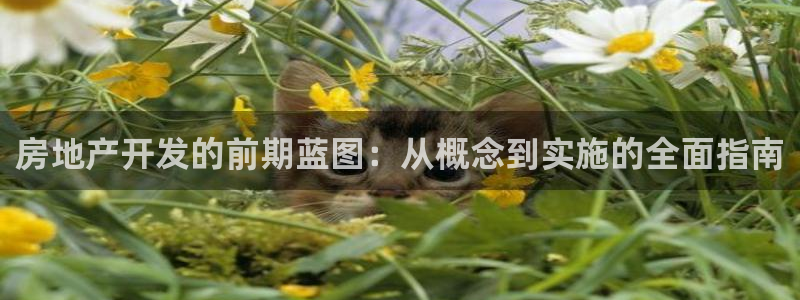 万向娱乐官网网址是多少