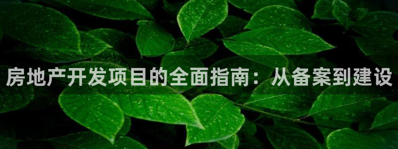 万向娱乐平台代理怎么样赚钱