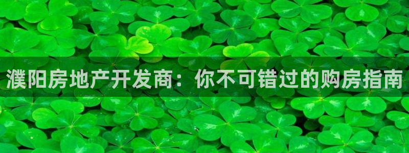 万向娱乐的494o3 主管