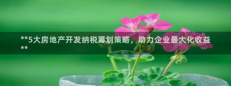 万向娱乐app