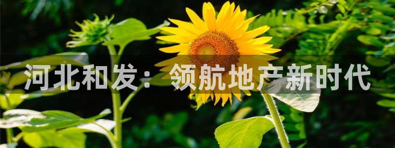 万向娱乐官网下载安装