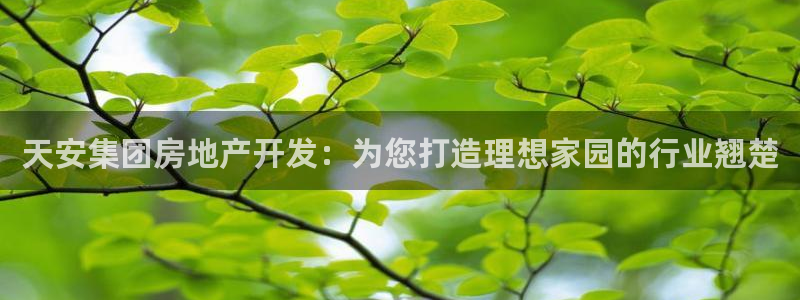 万向娱乐下载
