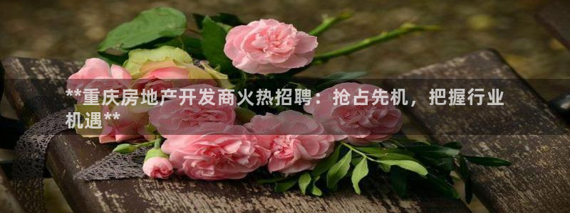 万能娱乐平台直招代理