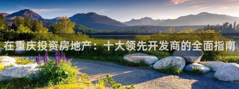 万向娱乐官网网址是多少