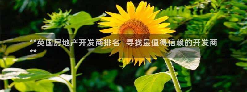万向娱乐平台代理多少钱一年