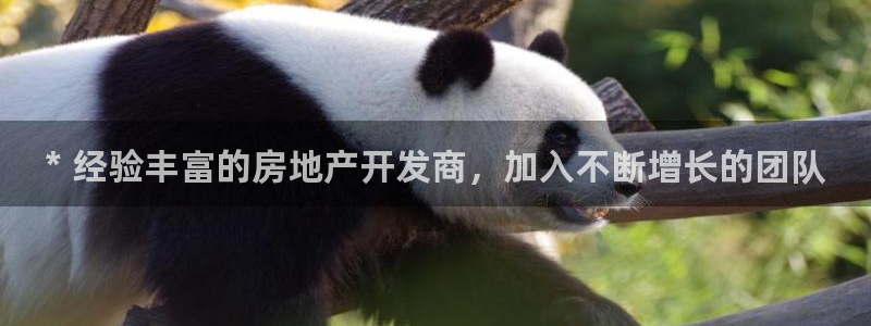 万向娱乐官网网址是什么