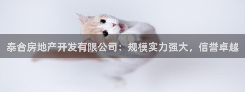 万向娱乐怎么样