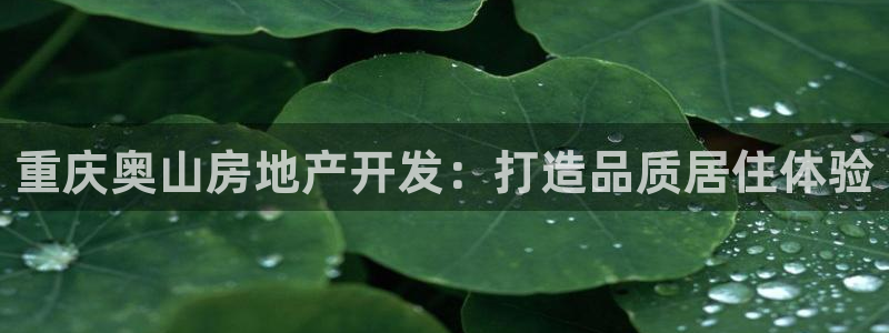 万向娱乐是野鸡台吗