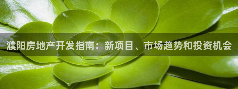 万向娱乐的联系方式有哪些