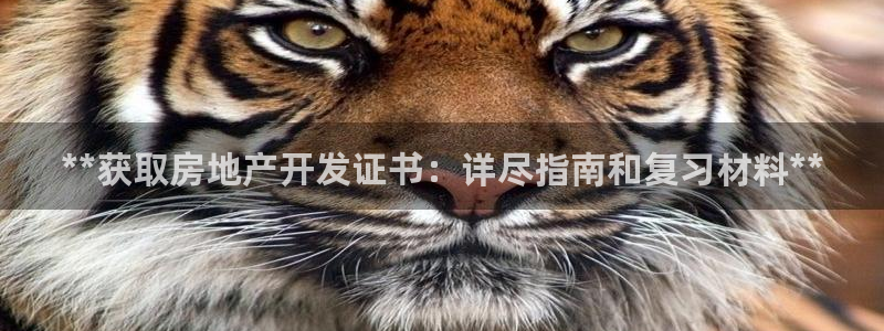 万向娱乐官网下载安卓