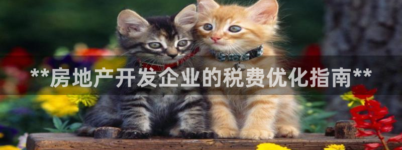 万向娱乐公司官网