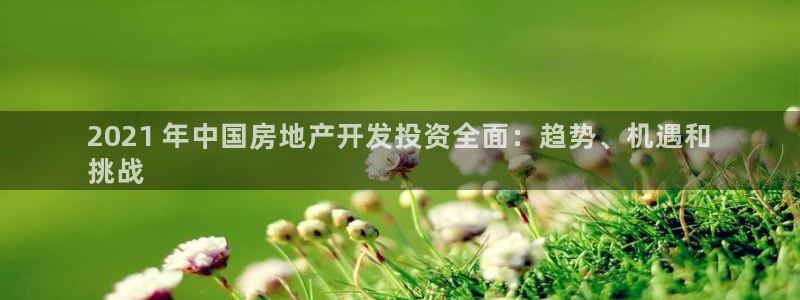 万向娱乐app