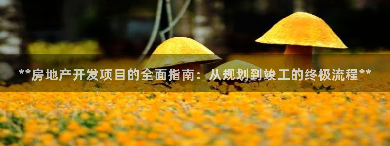 万向娱乐官网首页