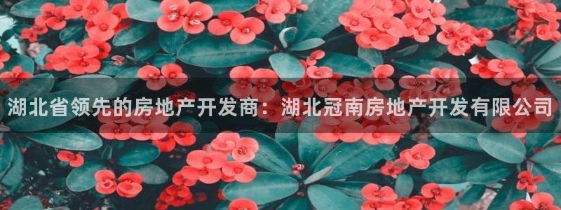 万向娱乐官网下载安装