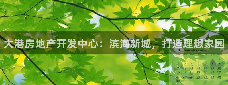 万象游戏代理