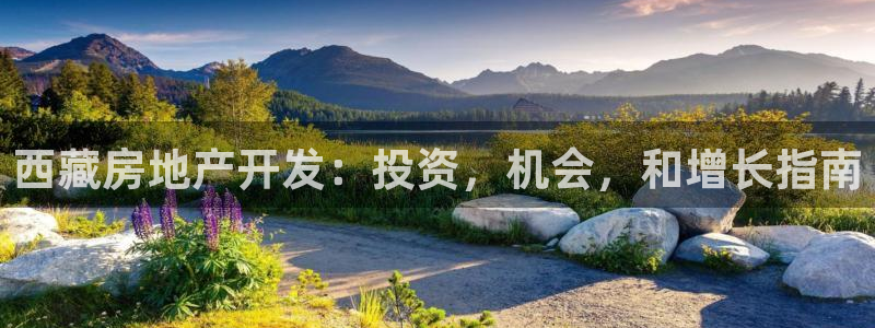 万向娱乐挂机软件