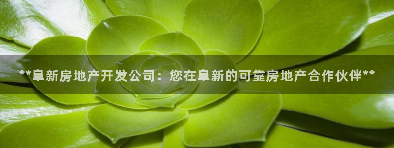 万象游戏代理