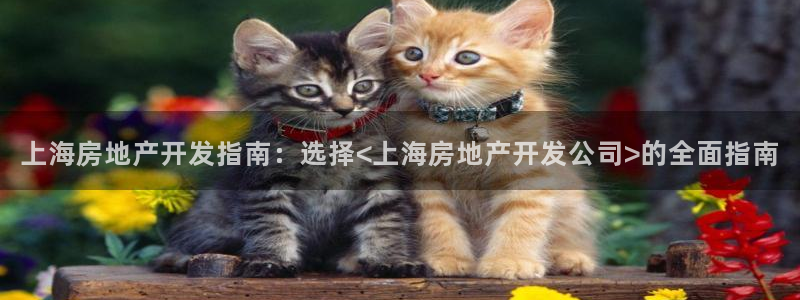 万向娱乐公司官网