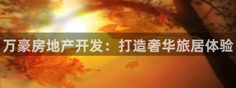 万向娱乐平台代理多少钱一年