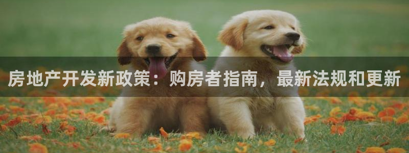 万向娱乐挂机