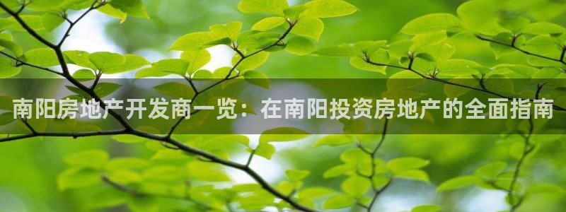 万向娱乐是野鸡台吗