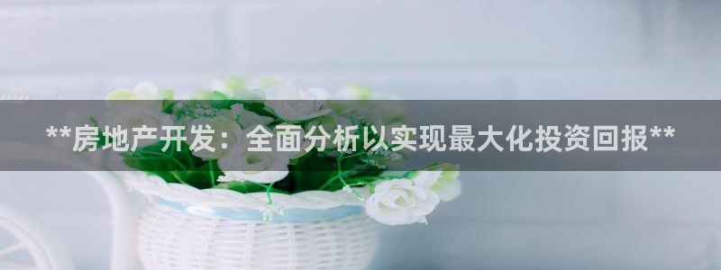 万向娱乐网址是什么