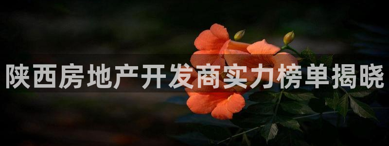万象国际娱乐网址