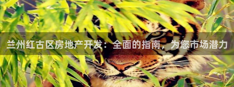 万象游戏代理