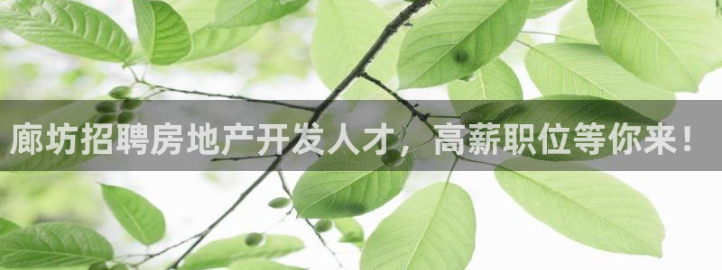 万向娱乐app下载官网