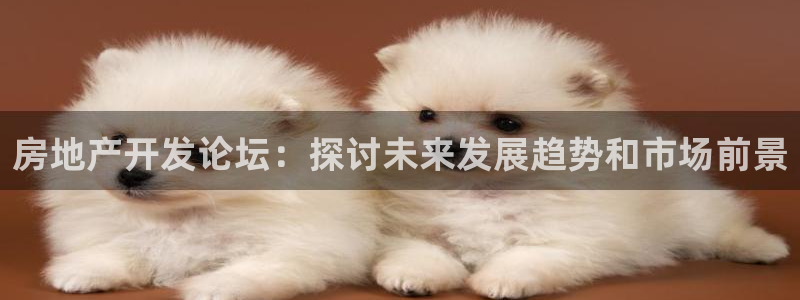 万向娱乐app