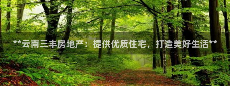万向娱乐平台代理多少钱一年
