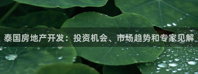 万向娱乐官网下载安装