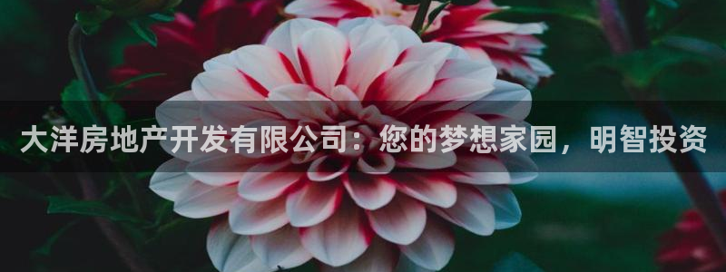 万向娱乐代理好看视频是真的吗