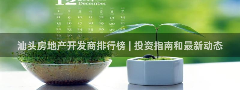 万向娱乐老板