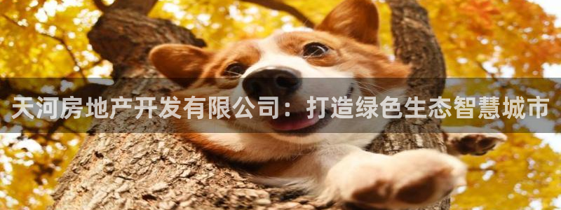 万向娱乐平台下载安装手机版
