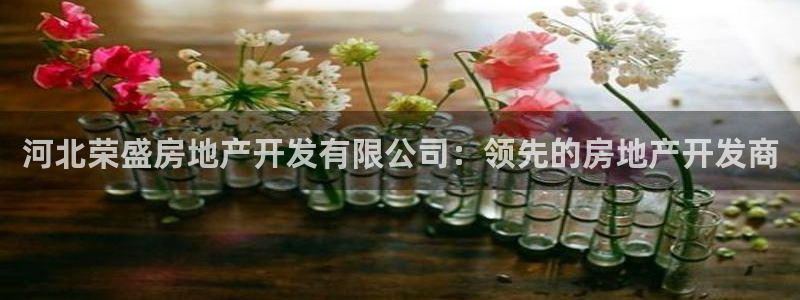 万向娱乐官网网址是什么